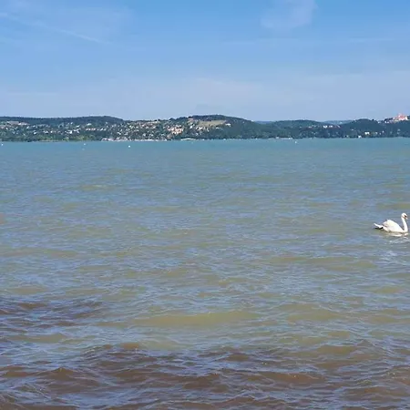 In Zamardi/balaton 20318 *