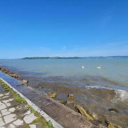 In Zamardi/balaton 20318 *